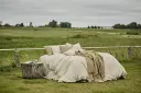 Gustav Ovland Marabel sengesett 200x220/2*50x70 Beige / Vass