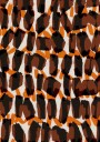 Autumn Brush Strokes Plakat / 21x30
