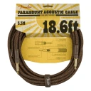 Fender Paramount 18.6' Acoustic Cable Brun