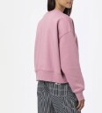 Dickies Collegegenser   Summerdale   Foxglove   DickieSmall   Collegegenser   Rosa