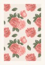 Peony Flowers Plakat Plakat / 100x150cm