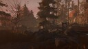 Through the Woods