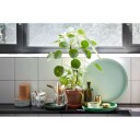 Vitra   Trays Brett set of 3 Green Lampemesteren