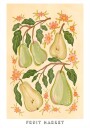 Pears and Petals Plakat Plakat / 70x100cm