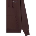 Champion Hooded Sweatshirt - Brown - XL