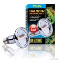 Sun-Glo Halogen Exoterra - 35w