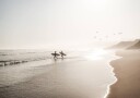 Calm Beach Surf Plakat Plakat / 40x50cm