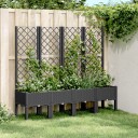 Plantekasse med espalier svart 160x40x142 cm PP