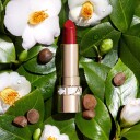 Clarins Joli Rouge Satin 3,5 g  742