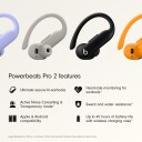 Apple Beats Powerbeats Pro 2 Sort