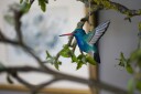 DecoBirds Håndskåret Fugl Brednebbet Kolibri