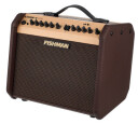 Fishman Loudbox Mini with Bluet Bundle