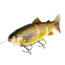 Westin Tommy The Trout Inline