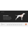 Non-Stop Dogwear Rush Hundesele Str. 8 Svart/Oransje - Trekksele for Hunder
