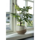 House Nordic Fikentre 9501010