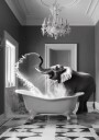 Playful Elephant Bath Plakat / 40x50