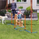 Northio Agility-Sett For Hunder 3-Delers Treningssett Med Slalomstaver
