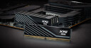 ADATA Lancer Blade 16GB DDR5 6000MHz RAM - U-DIMM - Sort