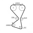Registerreim sett GATES K025556XS