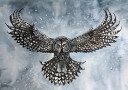 great grey owl Plakat Plakat / 70x100cm