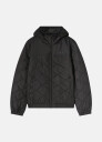 Champion Hooded Jacket