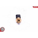 Sensor, drivstofftrykk ESEN SKV 17SKV624