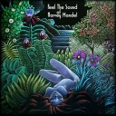 Harvey Mandel Feel The Sound Limited Edition Uk Vinyl