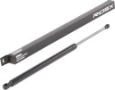 RIDEX 219G0901 Baklukedemper