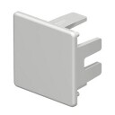 10 stk ENDESTYKKE WDK 30/30 LG
