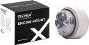 RIDEX 247E0196 Motorfeste