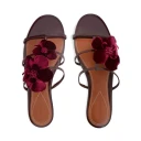 Zimmermann Dame Sko Rød 37 EU,
