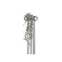 Europalms Holland Ivy Bush Tendril 100cm