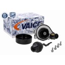 VAICO V20 50070 1 Vannpumpe