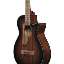 Ibanez AEGB24E-MHS