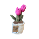 Take Me Home Plant plysj tulipan 154934