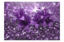 Fototapet Masterpiece Of Purple 250x175 - Artgeist sp. z o. o.