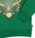 DYR Collegegenser   DYRNel   Green Triceratops   DYR   4 år (104)   Collegegenser   Grønn