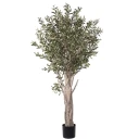 Mr Plant Oliventre 190 cm