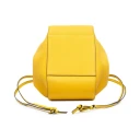 Loewe Pre-owned Dame Gul