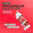 Garnier Fructis Hair Food Revitalising Conditioner 350 ml