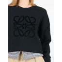 Loewe Dame Gensere & Hettegensere Svart S,