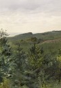 Spruce Saplings in Sandy Soil Study By Werner Holmberg Plakat Plakat / 100x150cm