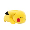 Pokemon Sleeping Pikachu