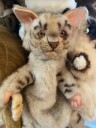 Hansa Creation Leopard Hand Puppet Interactive and Lifelike Plush Toy