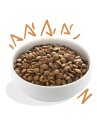 Edgard & Cooper Grain Free Hundefôr med Hjort & And 12 kg