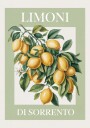 Lemons of Sorrento Plakat / 30x40