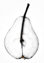 Pear Plakat Plakat / 40x50cm