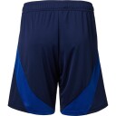 FC Copenhagen 24/25 Borteshorts Navy S