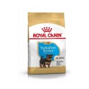 Royal Canin Yorkshire Terrier Puppy Tørrfôr 1,5 kg - Valpefôr for små raser