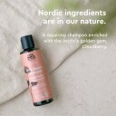 Urtekram Nordic Berry Shampoo 250 ml med Multebær og Aloe Vera
